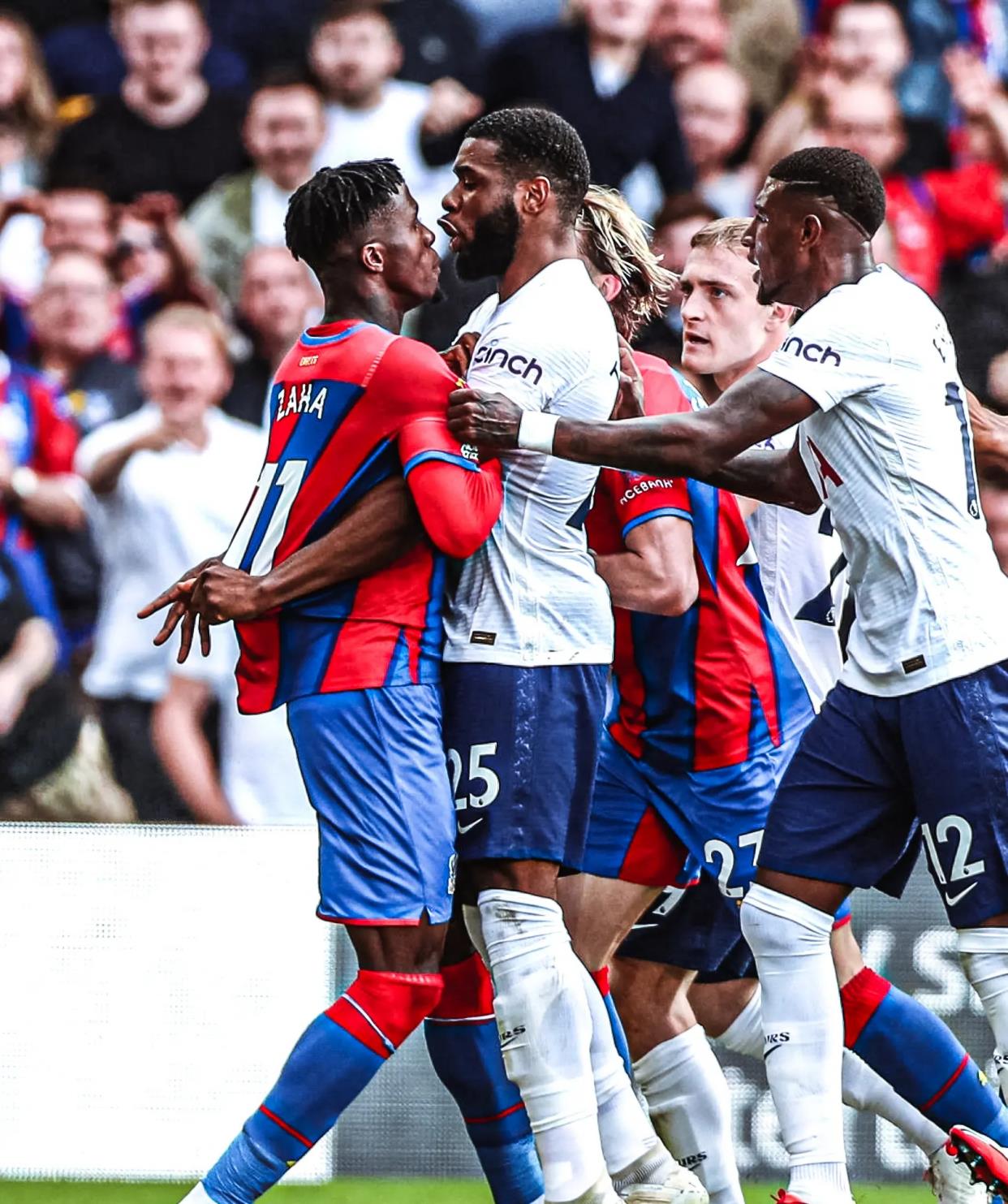 活动在阳光 活动在阳光